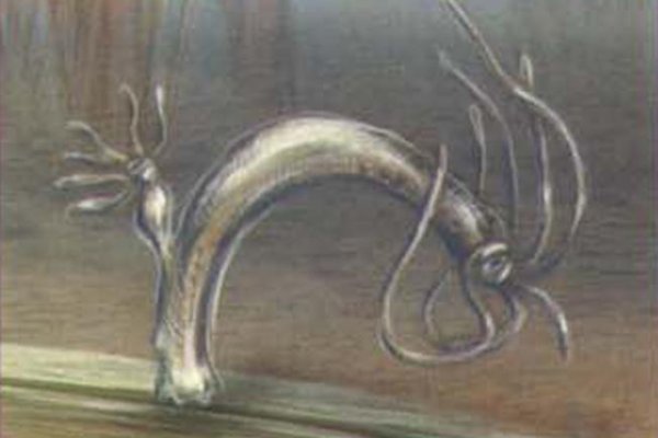 Кракен онион ссылки