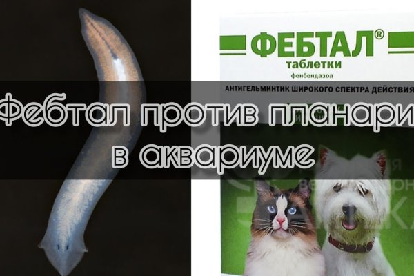 Кракен сайт kr2web